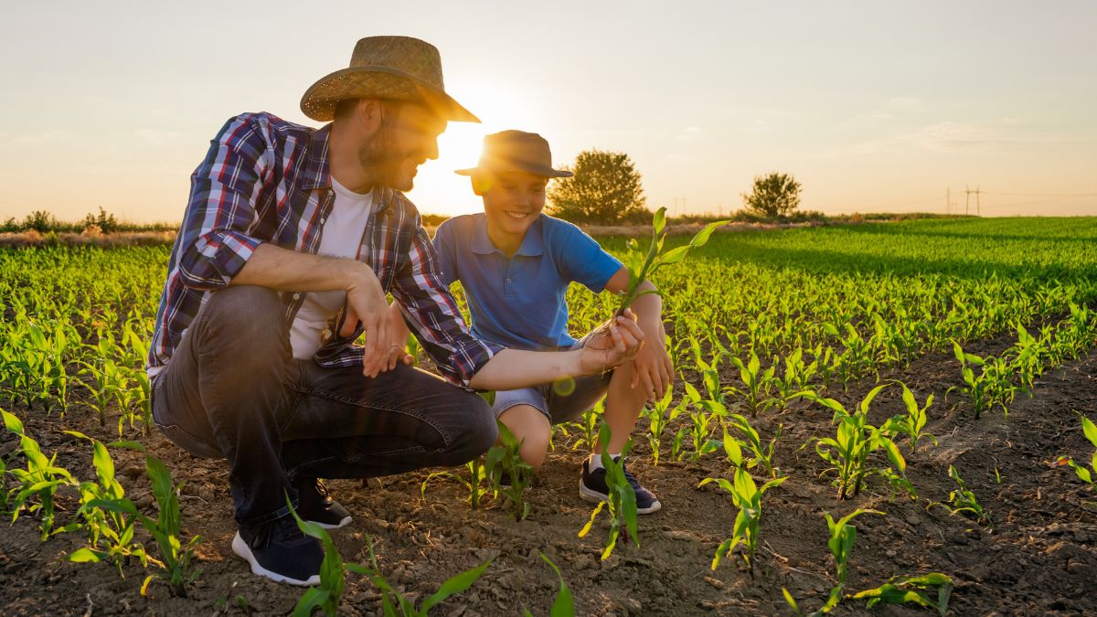 FNDE determina aplicação mínima de 45% dos recursos da merenda na agricultura familiar