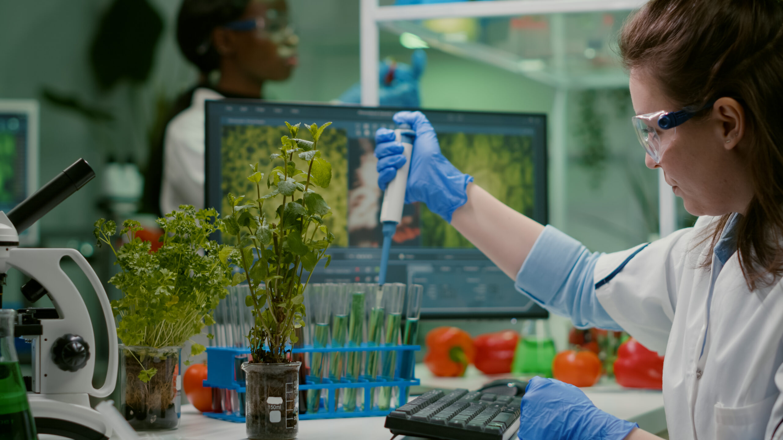 Governo apresenta plano para desenvolver bioeconomia no país