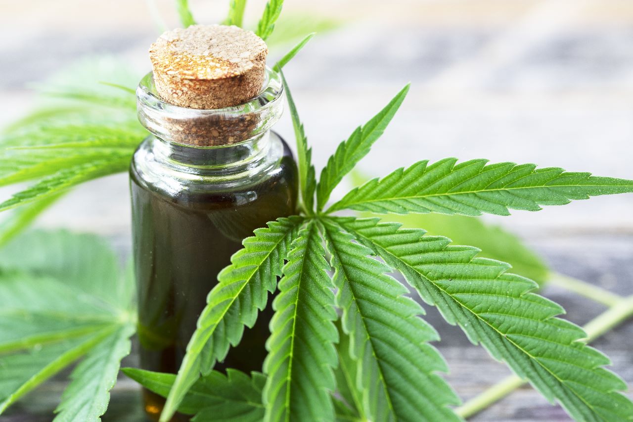 Projeto apoia mães e crianças atípicas tratadas à base de cannabis