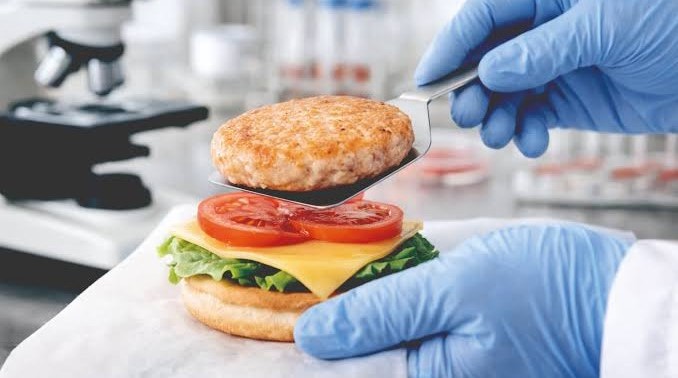 Carne de laboratório: conheça a técnica desenvolvida pela Embrapa