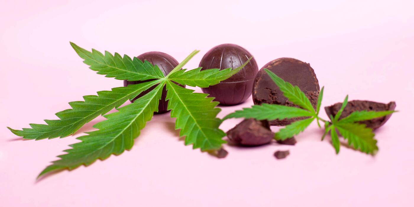 Multa por bombom de licor e cannabis medicinal? Entenda o que muda na Lei Seca