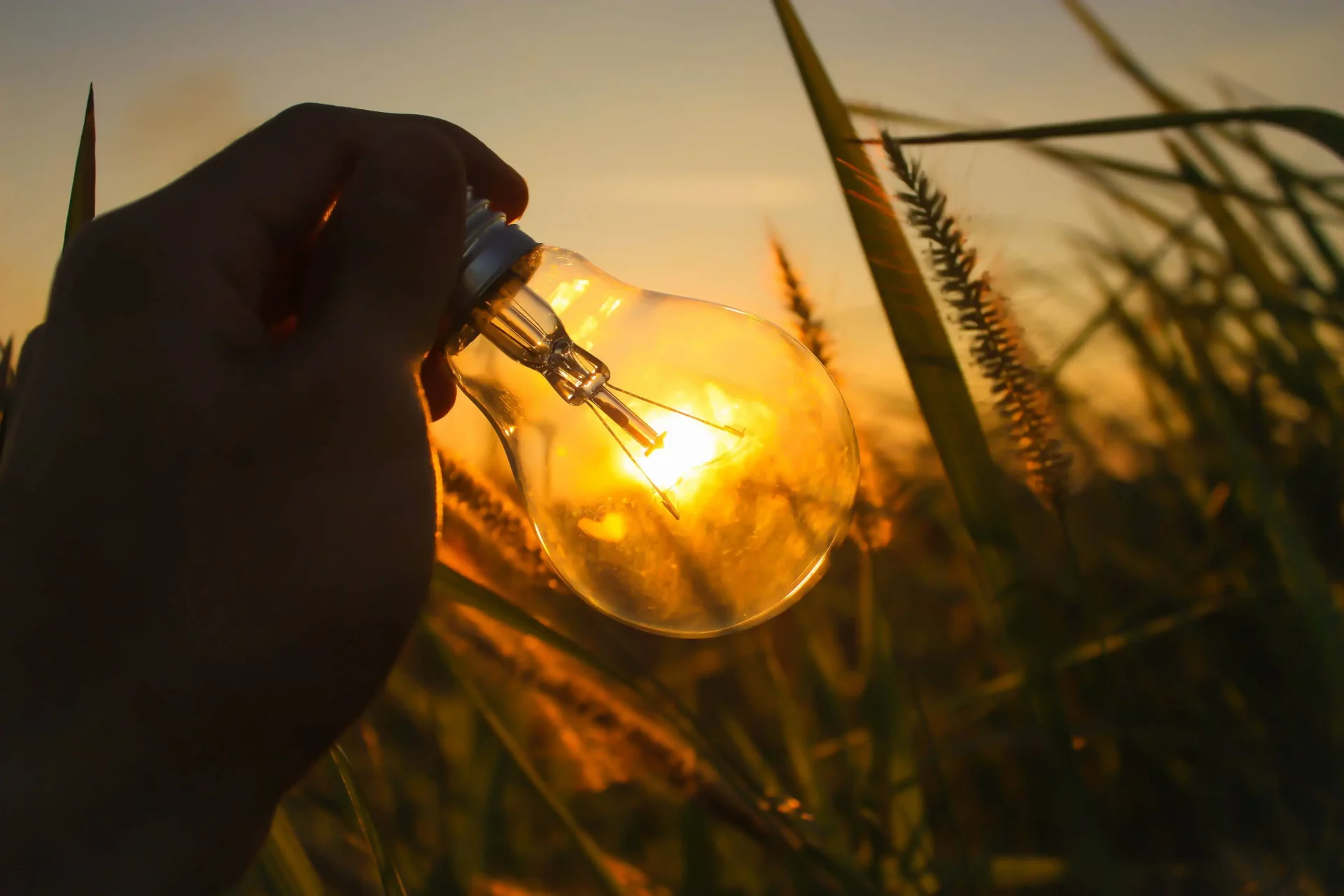 Qual é a diferença entre energia por assinatura e mercado livre de energia?