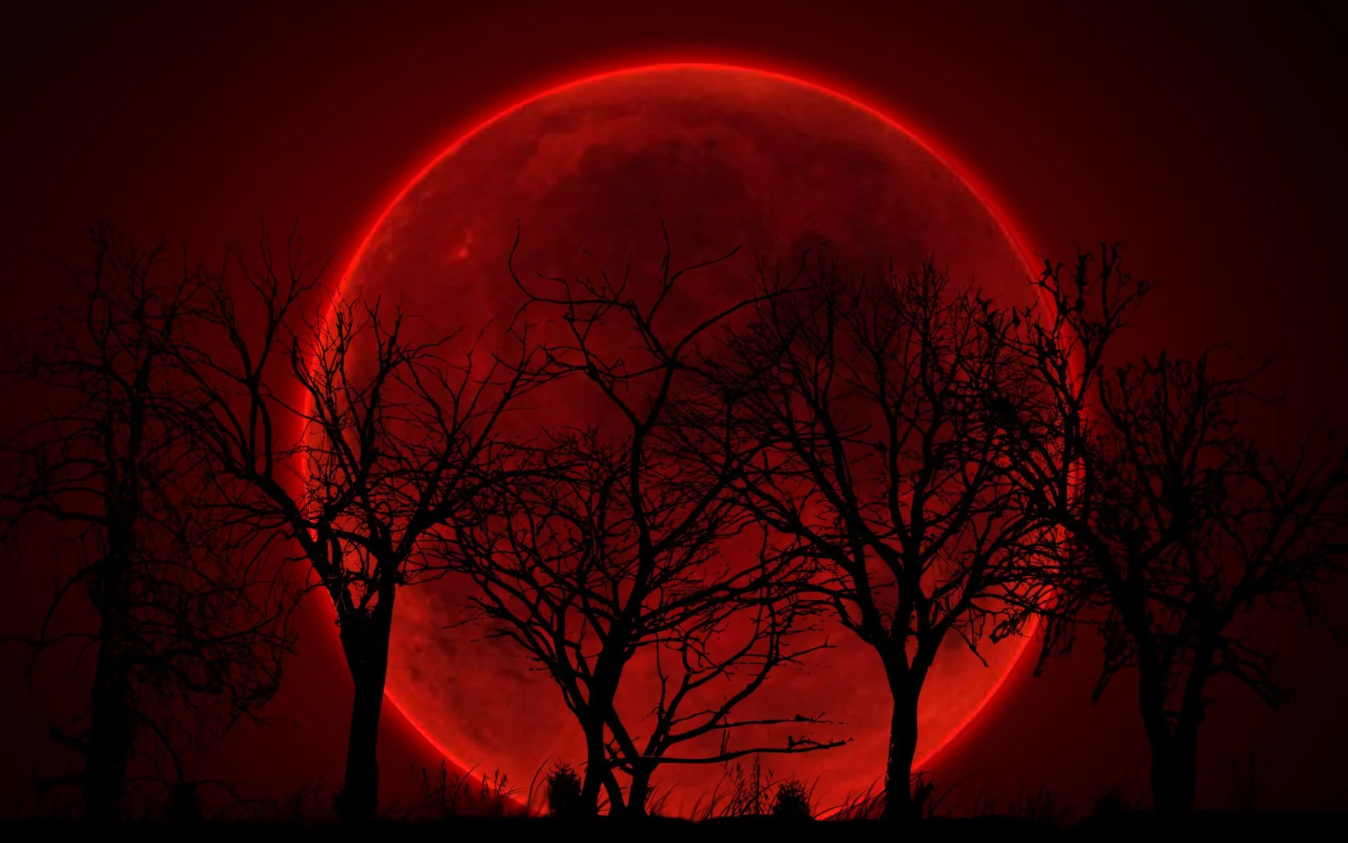 Eclipse lunar com 'Lua de Sangue': saiba impactos e o que fazer segundo a astrologia