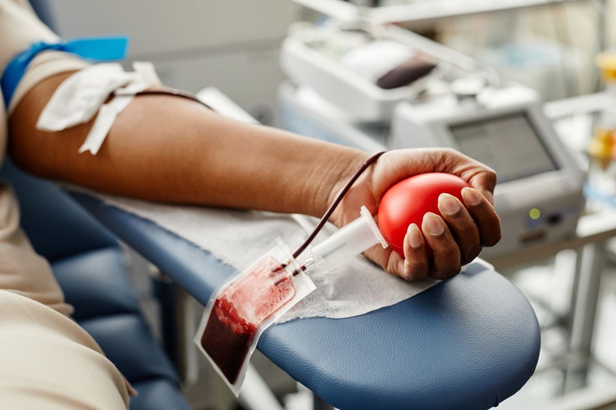 Novas regras para doação de sangue no país entram em vigor em outubro