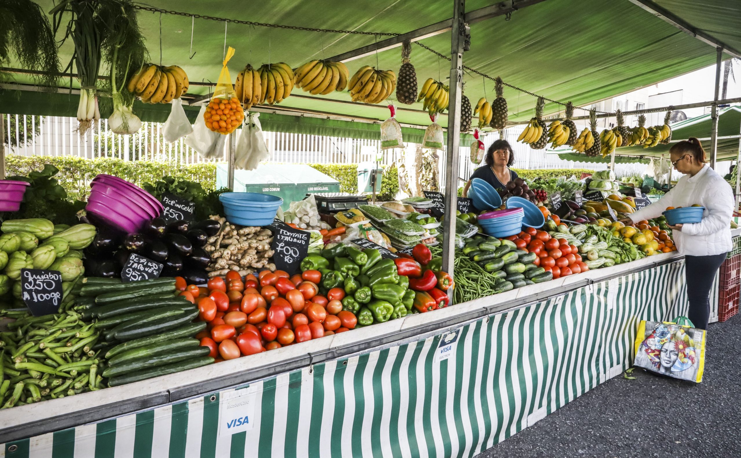 Guia Alimentar completa 20 anos de incentivo à comida de verdade