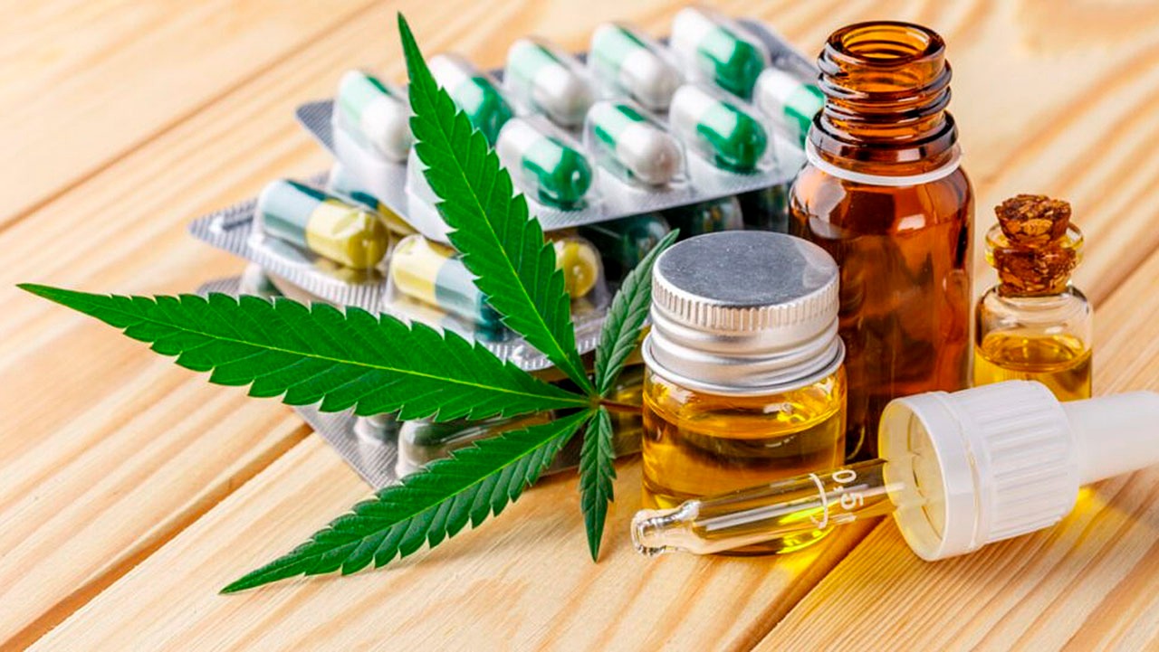Para associações, normas ainda deixam pontos em aberto sobre cannabis