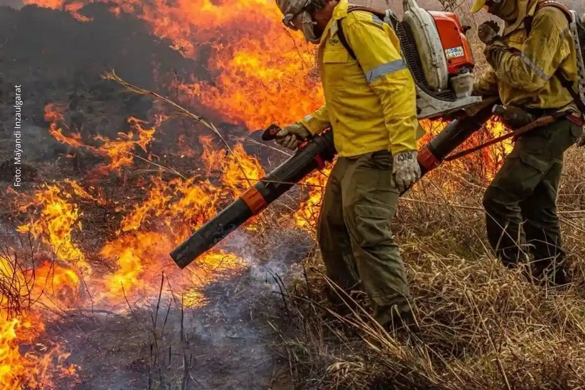 El Niño: fenômeno climático é uma 'grande ameaça' à saúde, alerta OMS